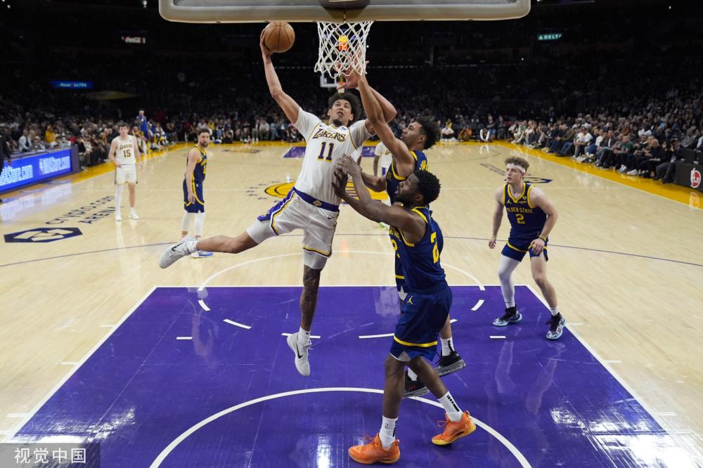 国内资本注 国内资本注